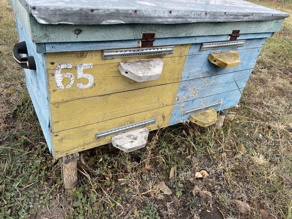 Продам улья700 гр в доброму стані