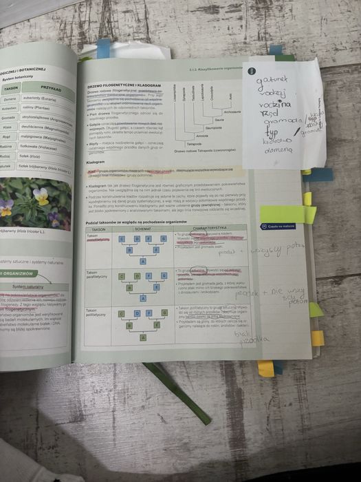 Nowa era biologia repretytorium