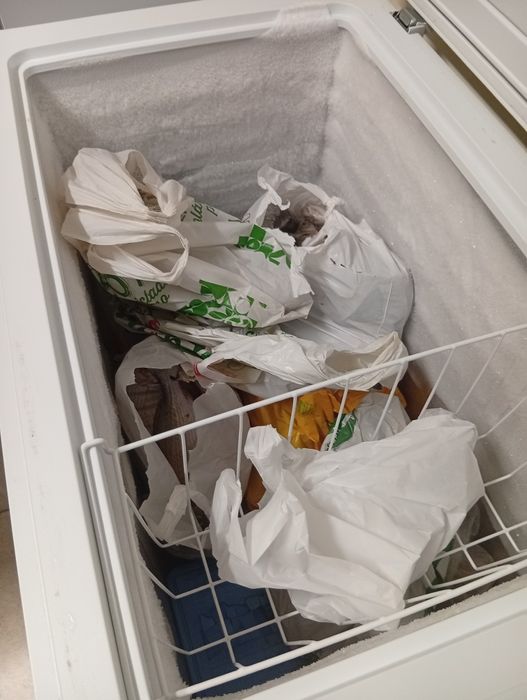 Vendo  arca congeladora, máquina de lavar