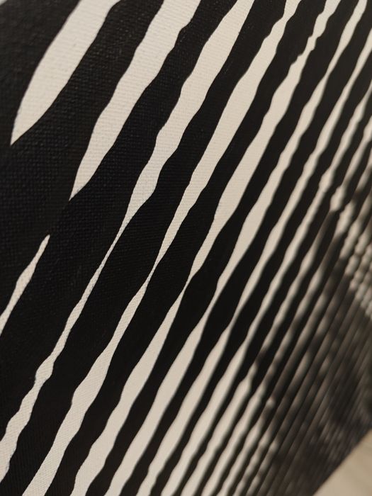 Obraz akrylowy na płótnie malowany farbami Farby Czarny Biały Duży 100