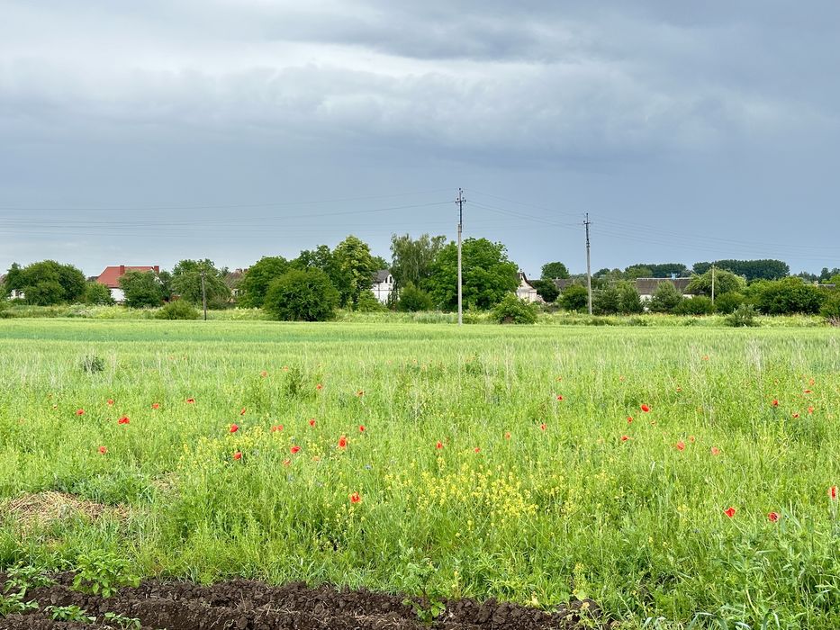 Продам ділянку с.Шубків 20 сот