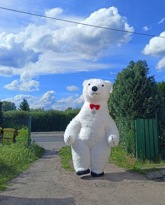 Biały Miś / Dinozaur / Wata cukrowa / PopCorn / Zakręcany ziemniak