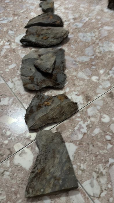 Pedras e troncos