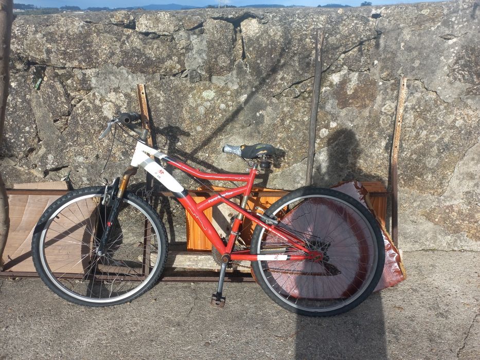 Bicicleta particular
