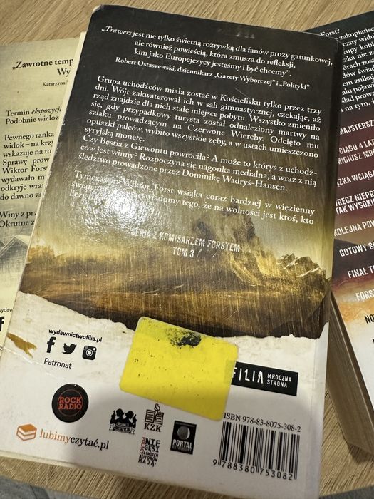 Remigiusz Mróz Trawers