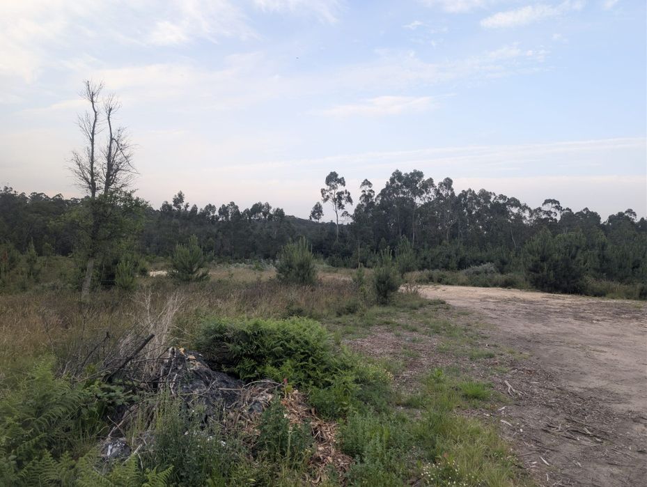 Terreno macieira da maia