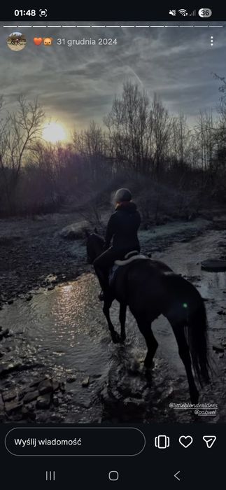 Dzierżawa konia z przeniesieniem