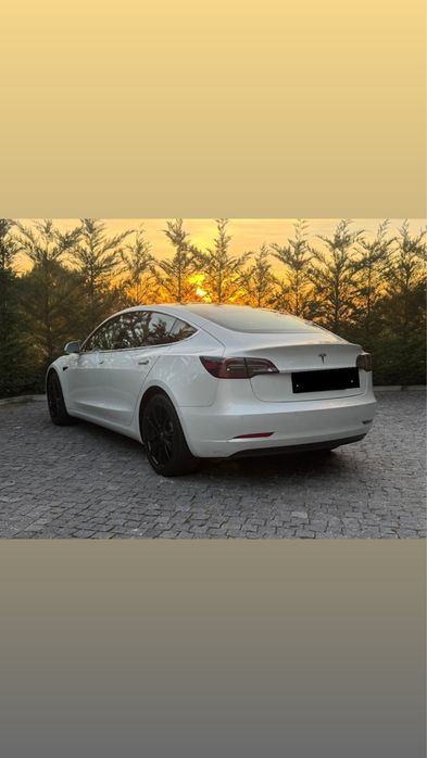 Tesla model 3 2019