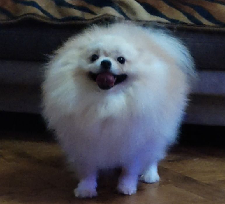 Акция!!!Мальчик подросток