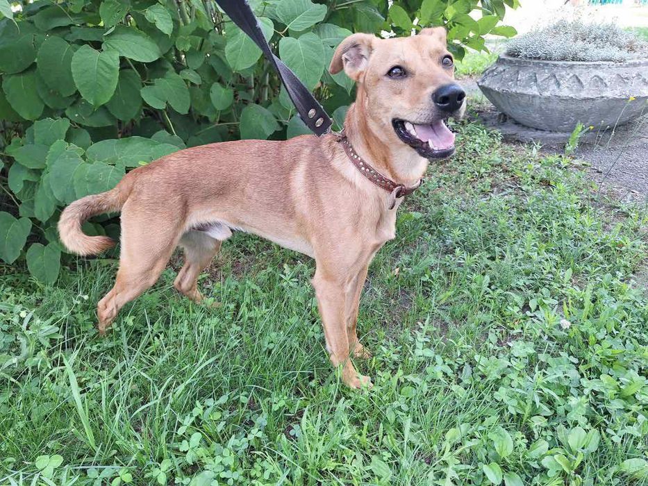 Красавец Рей,молодой парень.бесплатно.