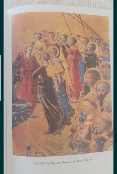 Bíblia Sagrada - Antigo e Novo Testamento - 7 livros novos na película