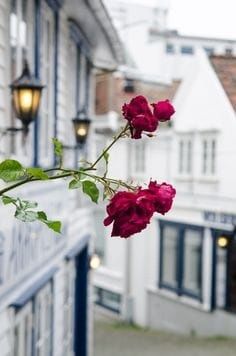 Дом в г. Смела Черкасской области в рассрочку продам или обмен на авто