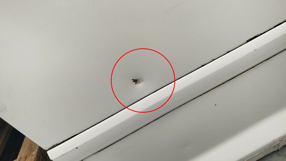 Porta frente direita AUDI A3 (8P1)