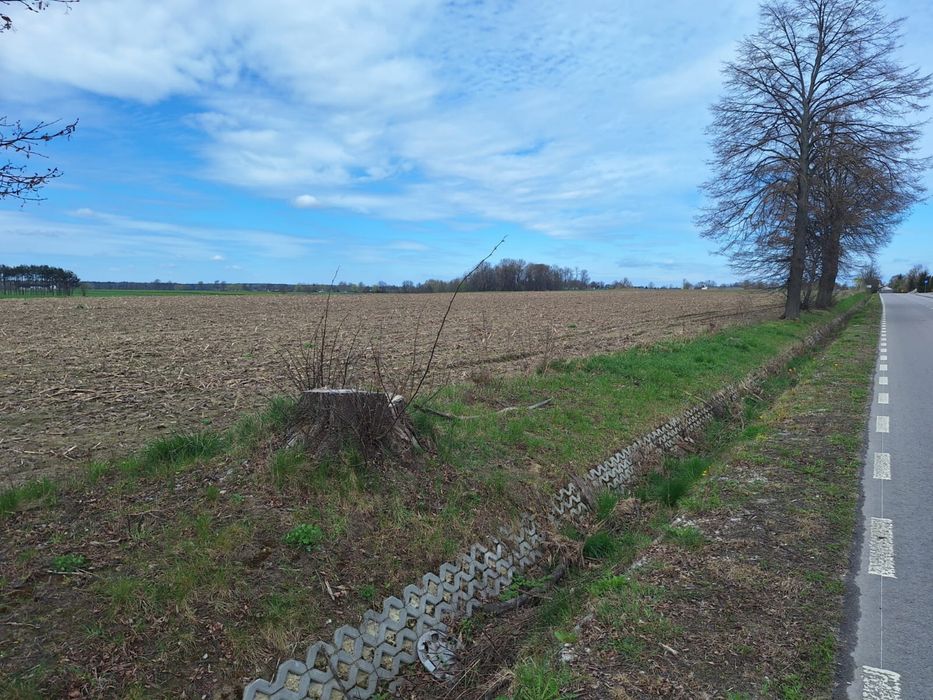 Działki Radzików Wielki blisko Autostrady A2 - 306mx73m - 2,338 ha