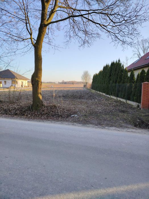 Sprzedam działkę rolno - budowlaną Wola Niechcicka Stara gm. Rozprza