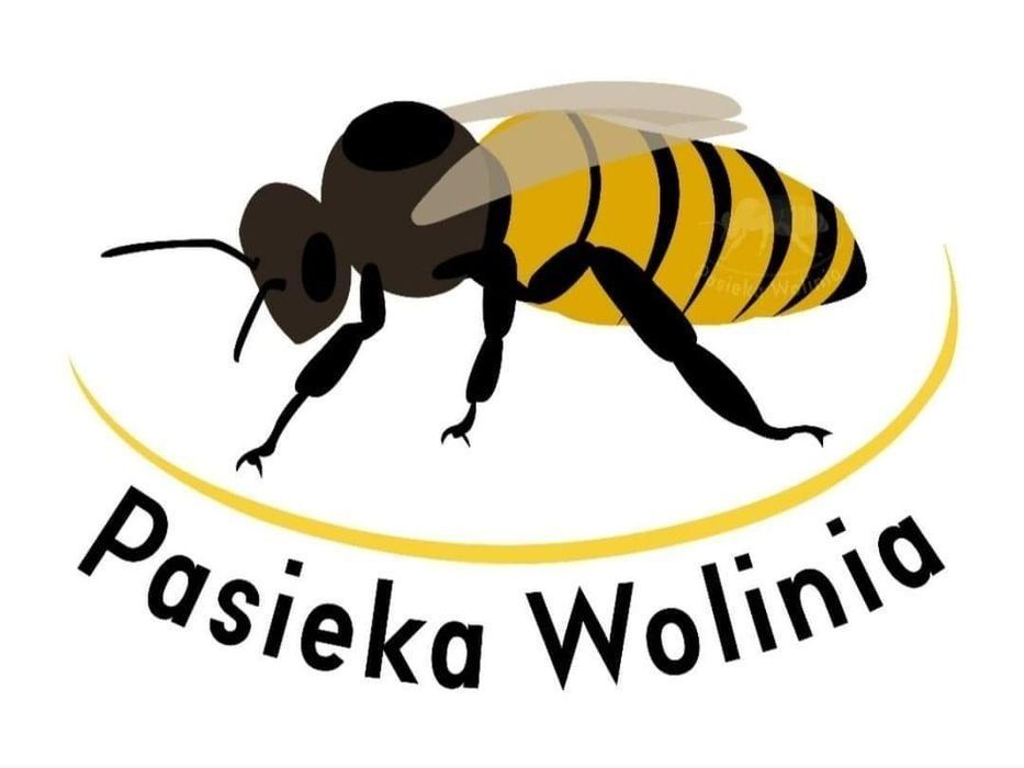 Buckfast VSH matki pszczele 5+1 jednodniowe Pasieka Wolinia