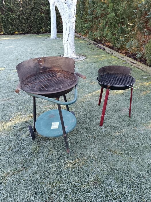 Grill na działkę , ryby 2 sztuki