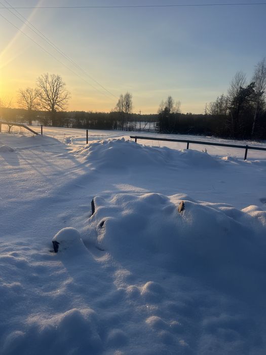 Дрова вільха береза з доставкою