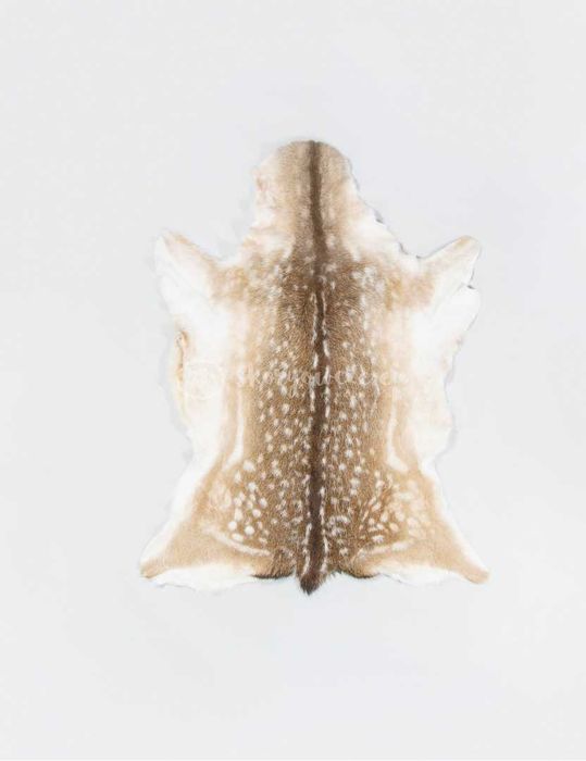 Skóra z daniela / lato jasny