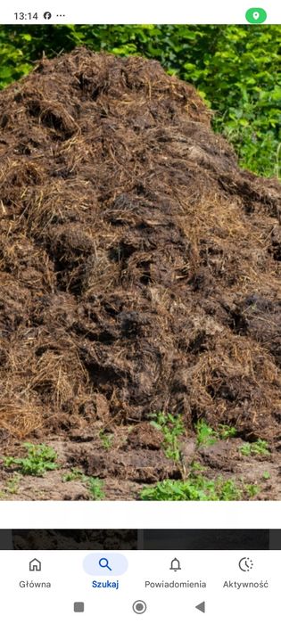 Obornik kurzy, naturalny,zamiana na słomę