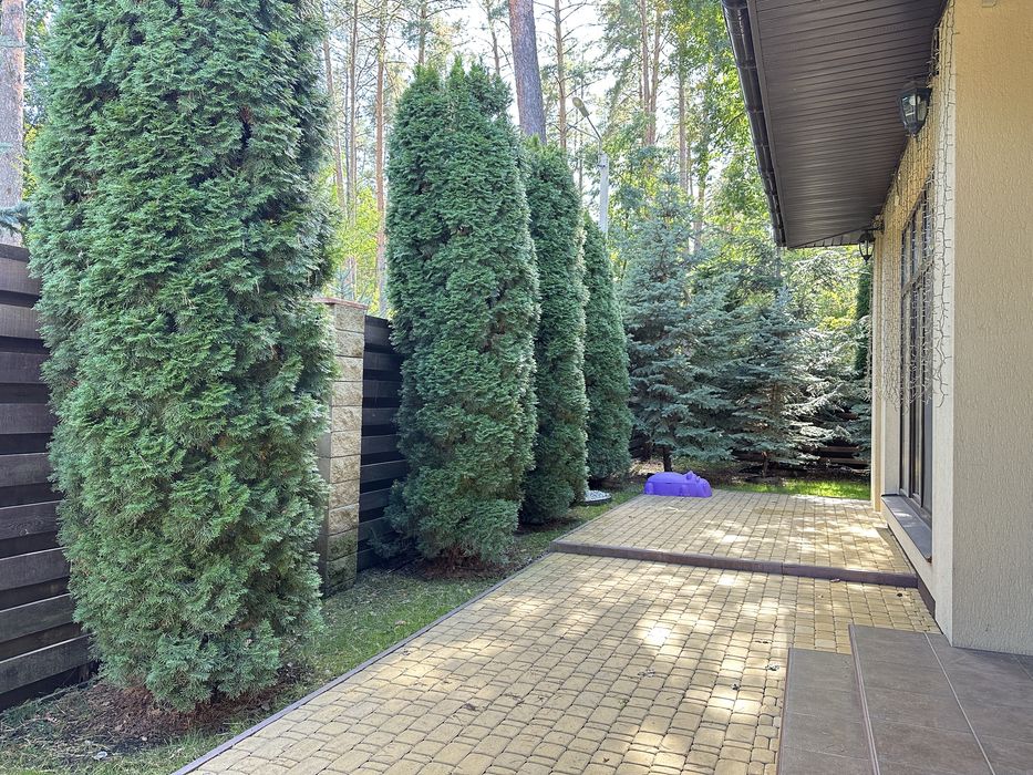 Оренда будинку в передмісті Києва