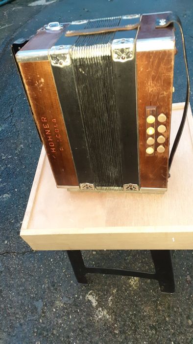 Vendo Concertina Hohner Piccola