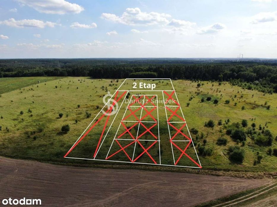 Działki do zabudowy pod Lasem! Czepino