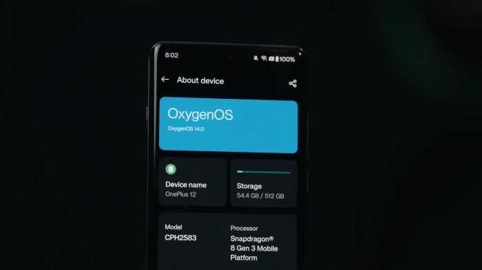 OnePlus 12 16/512 Flowy Emerald Global Official