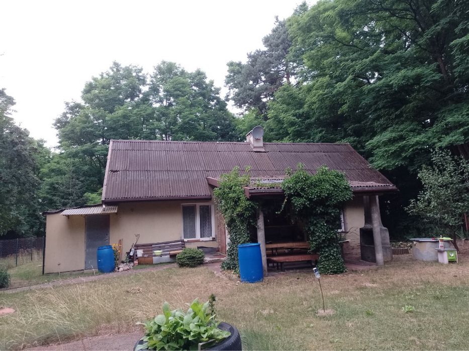 Dom z potencjałem na dużej działce – Dąbrówka koło Łasku.