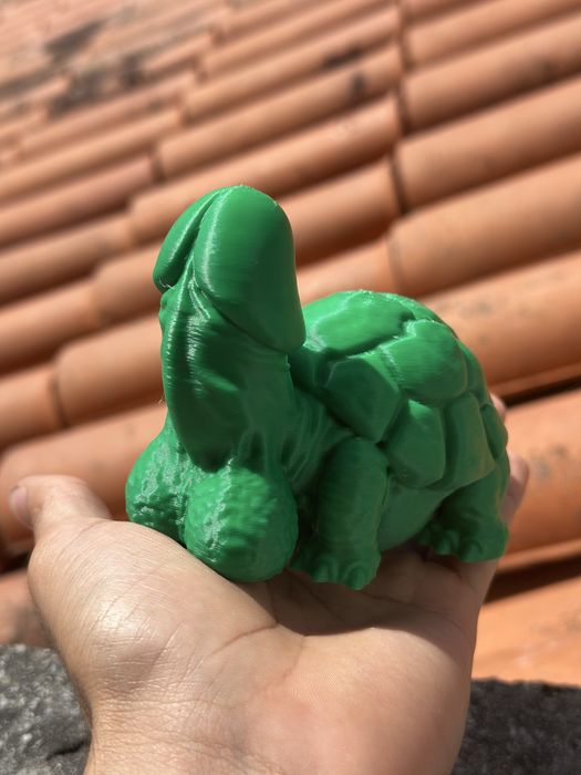 Tartaruga "Atrevida" - Impressão 3D - Presente Divertido / Gag Gift