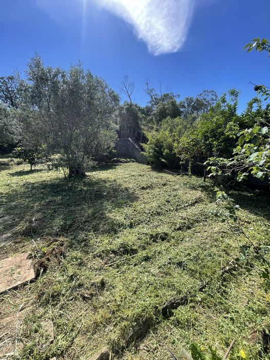 Limpeza de terrenos