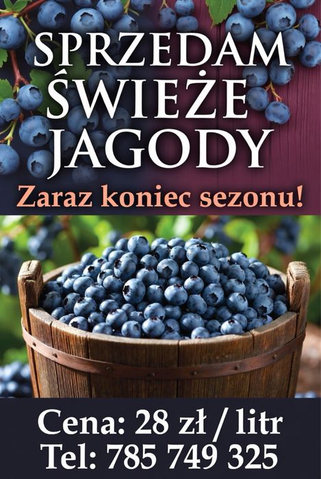 Świeże jagody leśne