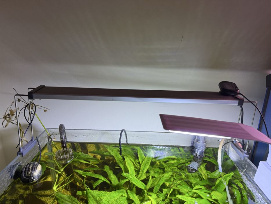 Chihiros led lampa do akwarium