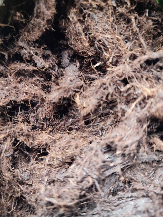 Верховий Кислий торф насипом pH 3,2-4.2