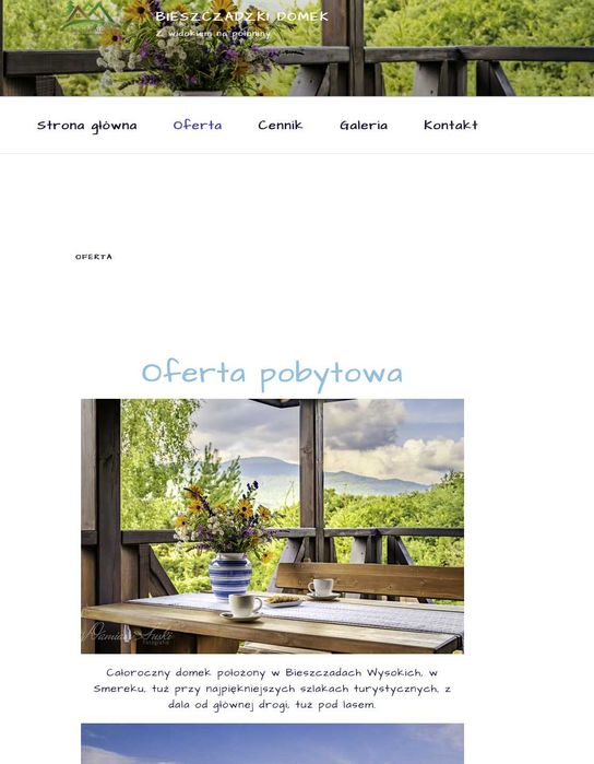 Wykonanie Strony Internetowej Wordpress Opieka Moderacja Fotografia