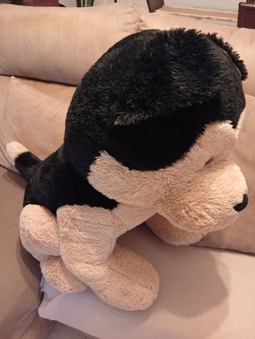 Cão peluche grande