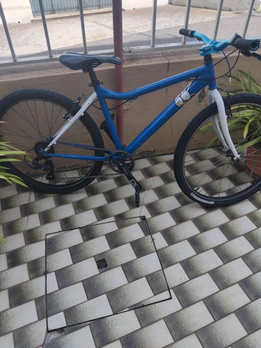 Vendo porque preciso de espaço  tenho que vender o mas rápido possível