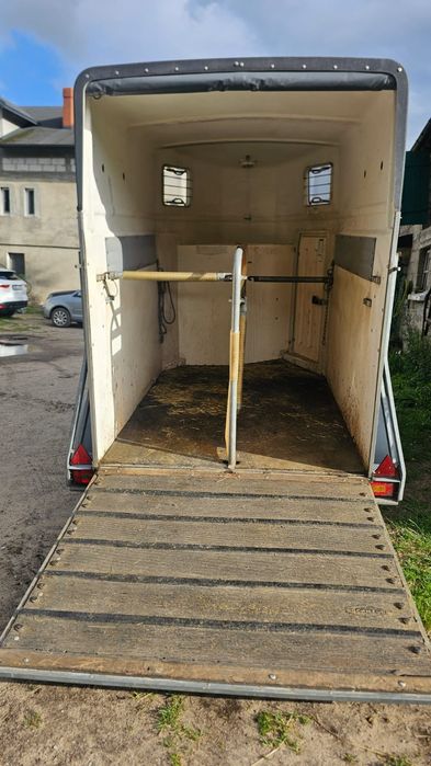 Przyczepa dla koni wynajem