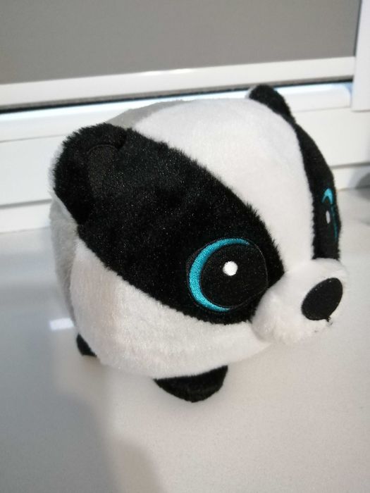 Świeżak borsuk z biedronki