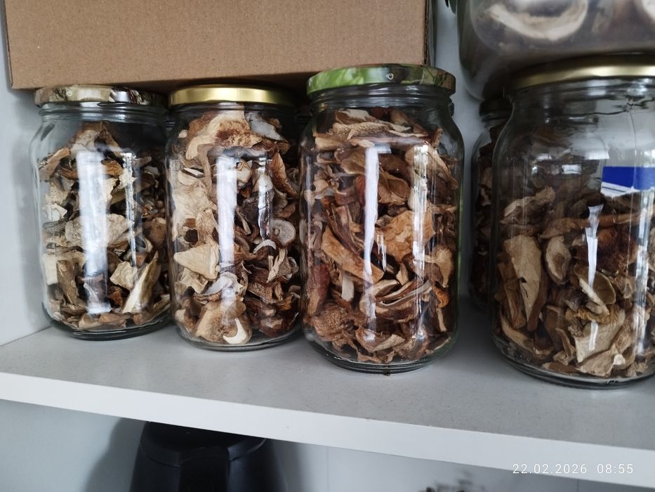 Grzyby suszone. Borowik szlachetny.