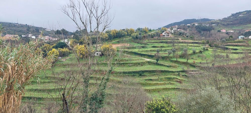 Moradia com terreno e anexos junto ao Centro de Saúde de Resende