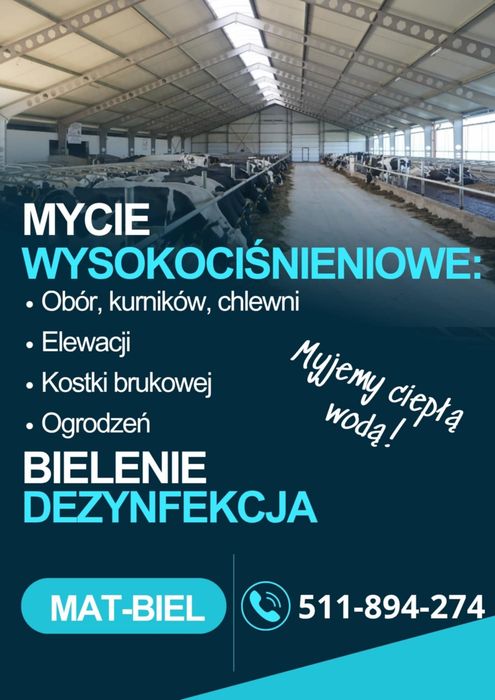 Mycie, bielenie obór kurników elewacji dezynfekcja białkowanie