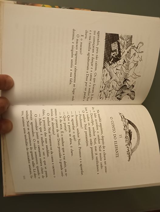 Contos da Arca de Noé / Avril Rowlands; il. Rosslyn Moran*