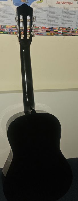 Vendo viola com capa