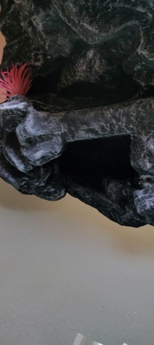 Ścianka do terrarium