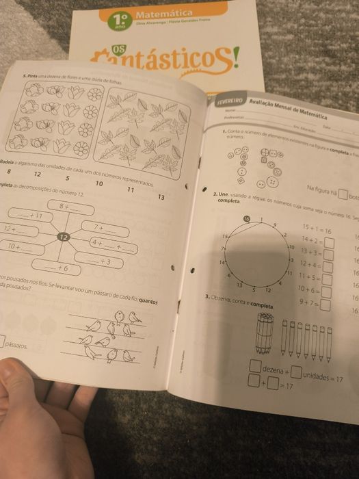 Caderno de fichas e fichas de avaliação 1° ano (NOVO)