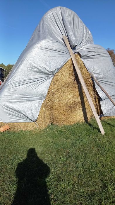 Słoma w belach , duża , po prasie pasowej