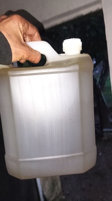 Azeite novo 2025