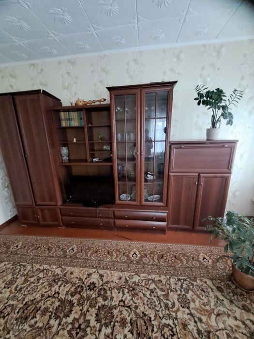 Вітальня меблева стінка гарнітур