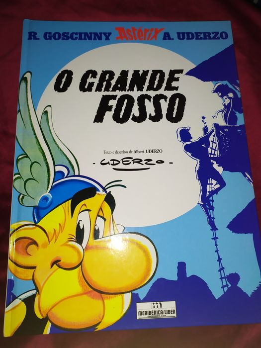 Asterix and the Great Divide
